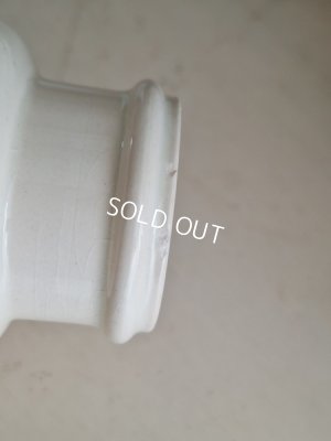 画像12: サルグミンヌEnfant Richardマスタードポット