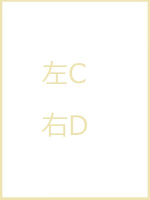 画像2: サルグミンヌアンファンリシャールカップ