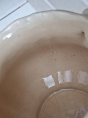 画像7: サルグミンヌ花リムクリーマー