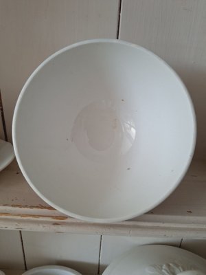 画像6: ディゴワンCIBONローズ柄カフェオレボウル