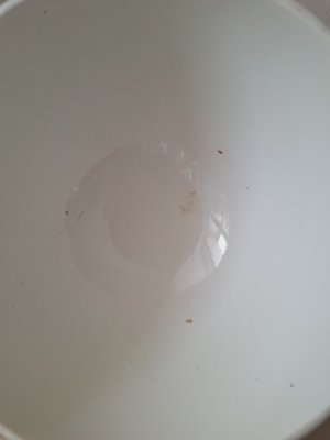 画像7: ディゴワンCIBONローズ柄カフェオレボウル