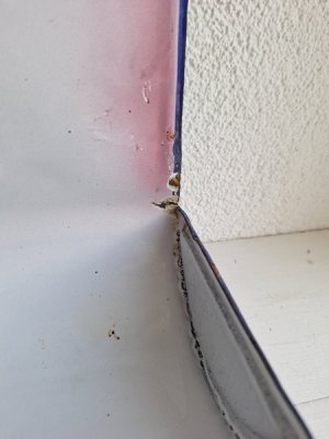 画像15: Japyピンクぼかしローズとパンジー柄レードルラック