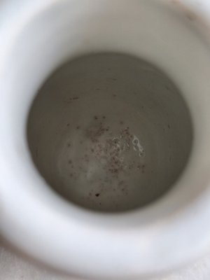 画像8: クレイユモントローマスタードポット