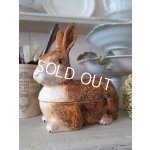 画像: Michel Caugantうさぎテリーヌポット　