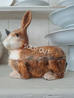 画像4: Michel Caugantうさぎテリーヌポット　