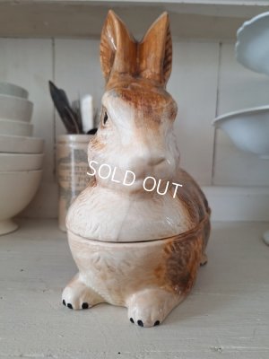 画像7: Michel Caugantうさぎテリーヌポット　
