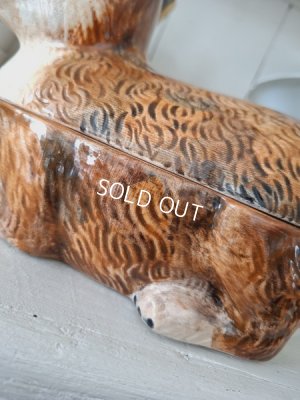 画像9: Michel Caugantうさぎテリーヌポット　