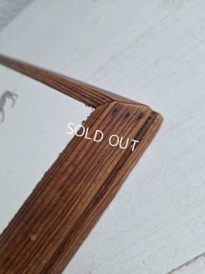 画像8: アンファンリシャールトリベット