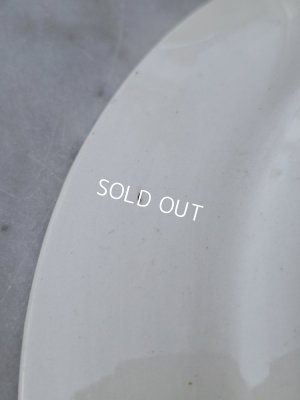 画像8: サルグミンヌEnfant Richardプレート