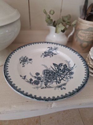 画像16: サンタマンAmandinoise Margotコンポート