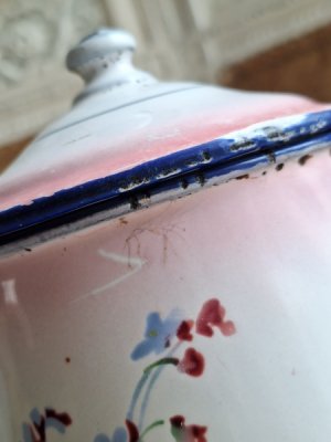 画像12: Japy勿忘草柄コーヒーポット