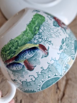 画像4: アンティークサルグミンヌカップ