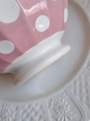 画像13: ディゴワン水玉柄カフェオレボウル