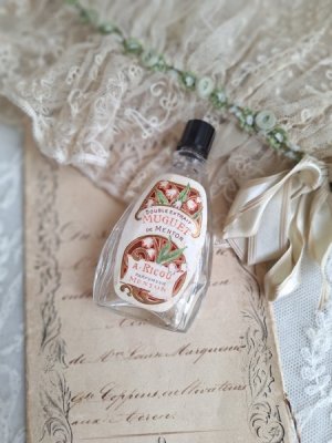 画像20: 同梱お勧めアイテム