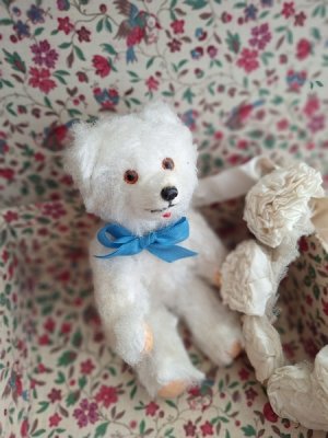 画像9: 同梱お勧めアイテム