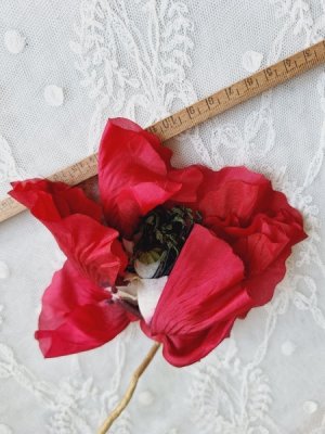 画像12: 同梱お勧めアイテム