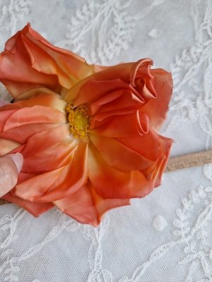 画像14: 同梱お勧めアイテム