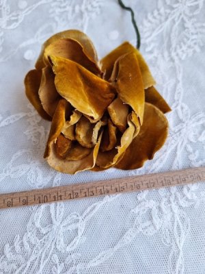 画像15: 同梱お勧めアイテム