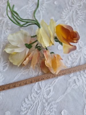 画像16: 同梱お勧めアイテム