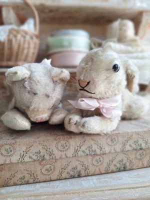 画像6: 同梱お勧めアイテム