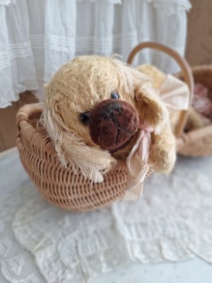 画像3: 同梱お勧めアイテム