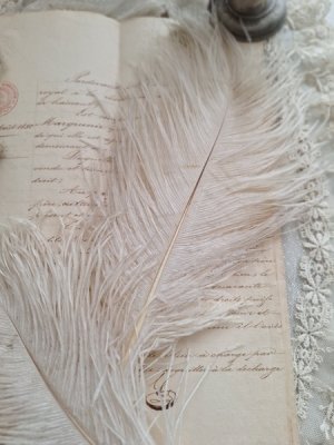 画像2: 同梱お勧めアイテム