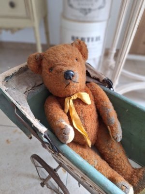 画像15: 同梱お勧めアイテム