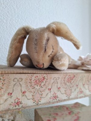 画像21: 同梱お勧めアイテム