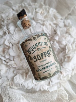 画像17: 同梱お勧めアイテム