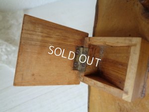 画像6: モシュリンヌインクトレイ