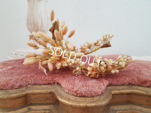 画像2: ワックスフラワー