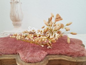 画像3: ワックスフラワー