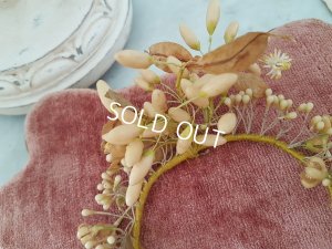 画像4: ワックスフラワー