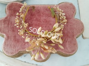 画像7: ワックスフラワー