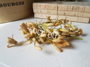 画像2: ワックスフラワーティアラ