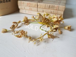 画像3: ワックスフラワーティアラ