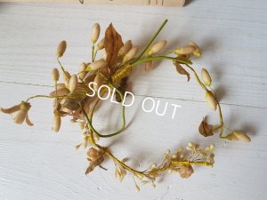 画像5: ワックスフラワーティアラ