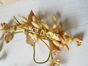 画像6: ワックスフラワーティアラ