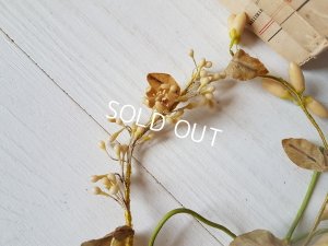 画像7: ワックスフラワーティアラ