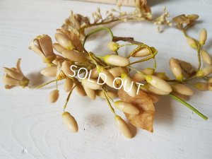 画像8: ワックスフラワーティアラ