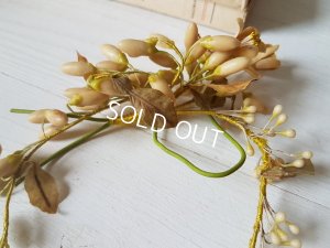 画像9: ワックスフラワーティアラ