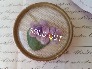 画像6: Violettes de Toulouseすみれボックス