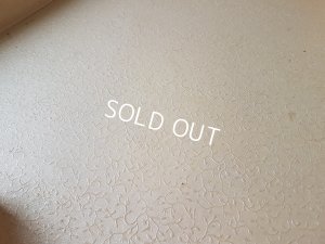 画像3: 犬を抱く女性柄ボックス