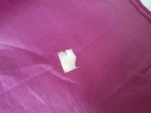 画像11: レースサンプラー