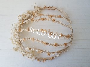 画像7: ワックスフラワーヘッドオーナメント