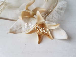 画像3: ボックス付マリエティアラセット