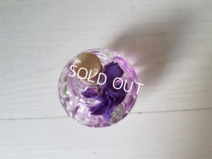 画像6: Violettes de Toulouseボックス付香水瓶