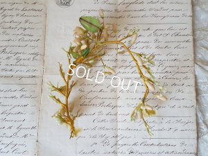 画像4: ワックスフラワーとレースリボンセット