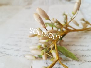 画像8: ワックスフラワーとレースリボンセット