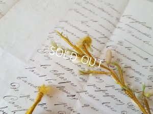 画像11: ワックスフラワーとレースリボンセット